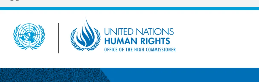 Office Of The High Commissioner For Human Rights (UN OHCHR) Minorities Fellowship Program 2025 1 Screenshot 20241015 110312 png - Opportunity HUB