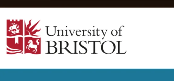 2025 University of Bristol Think Big International Scholarship in UK 2 Screenshot 20241126 165510 png - Opportunity HUB
