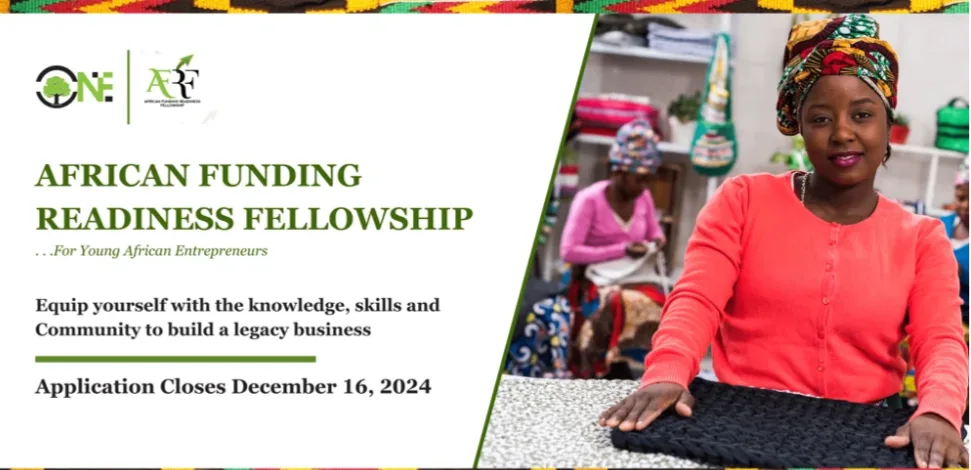 The African Funding Readiness Fellowship 2025 1 Screenshot 20241128 125857 png - Opportunity HUB