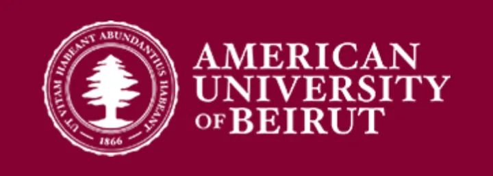 The American University Of Beirut (AUB) Mastercard Foundation Scholarship 2025/2026 1 Screenshot 20241204 125126 png - Opportunity HUB