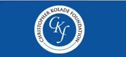 The Christopher Kolade Foundation SHE Soars Scholarship 1 Screen Shot 2025 01 14 at 3.32.01 PM png - Opportunity HUB