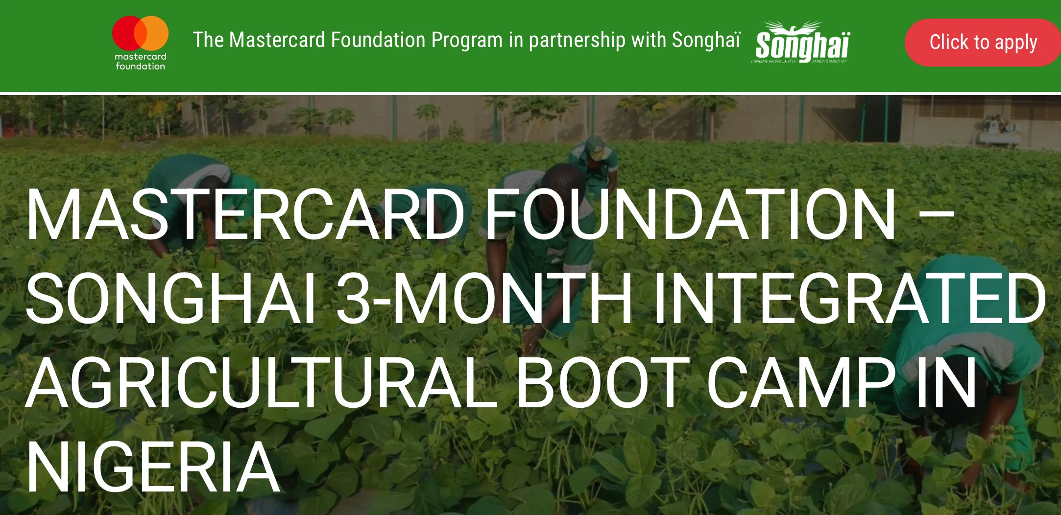 Songhai/Mastercard Integrated Agriculture Scholarship 2025 1 Screen Shot 2025 01 16 at 11.47.16 AM png - Opportunity HUB