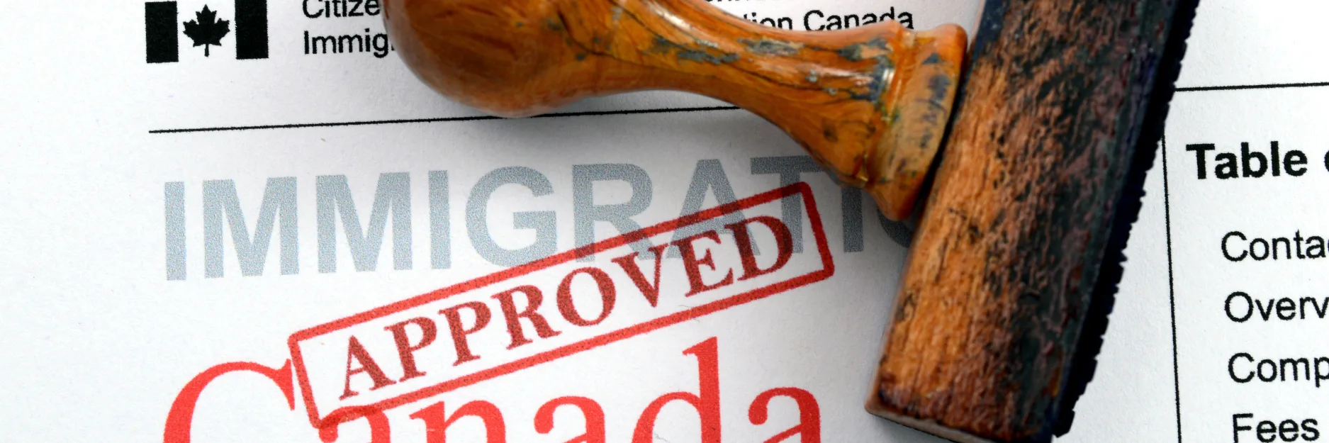 Canada Immigration Changes 2025: Major Changes in Policy You Need to Know 2 Canada Visa Application