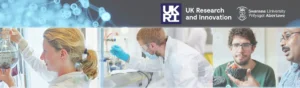 UK Research