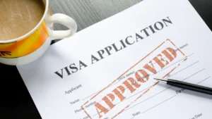 Visa-factors