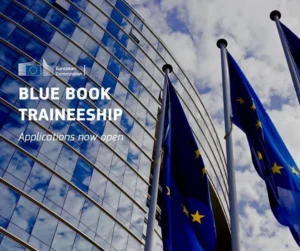 Blue book Internship