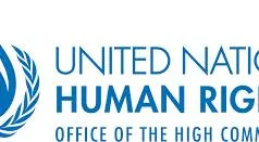 2026 OHCHR Indigenous Fellowship Programme – A Transformational Human Rights Hub in Geneva 1 image - Opportunity HUB