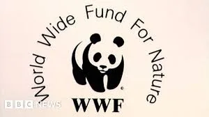 MTN-WWF AFRICA PACHIPANDA COMPETITION 2025 FOR YOUTH-LED SMES (5,000 USD PRIZE) 2 WWF logo - sponsor of the competition