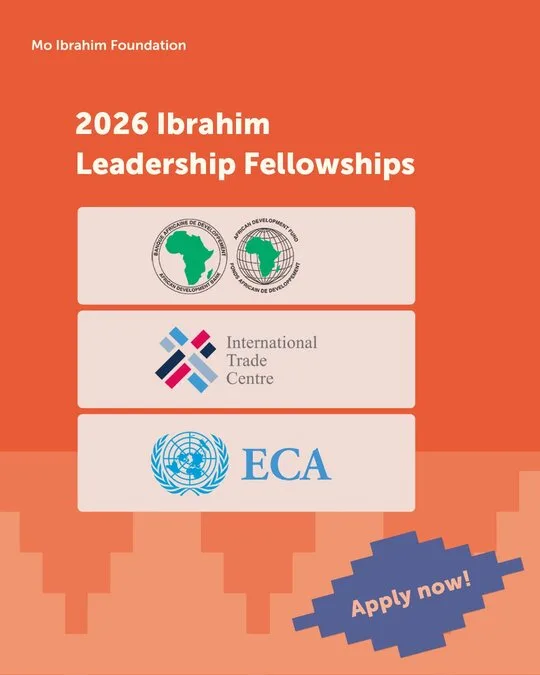 Mo Ibrahim fellowship