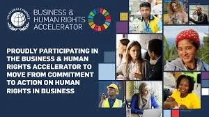 UN Global Compact accelerator, business and human rights training, ESG program for companies, corporate human rights due diligence, sustainability leadership program, human rights accelerator 2026, labour rights training, UN business program 2026, human rights compliance for business, UN Global Compact 2026 application