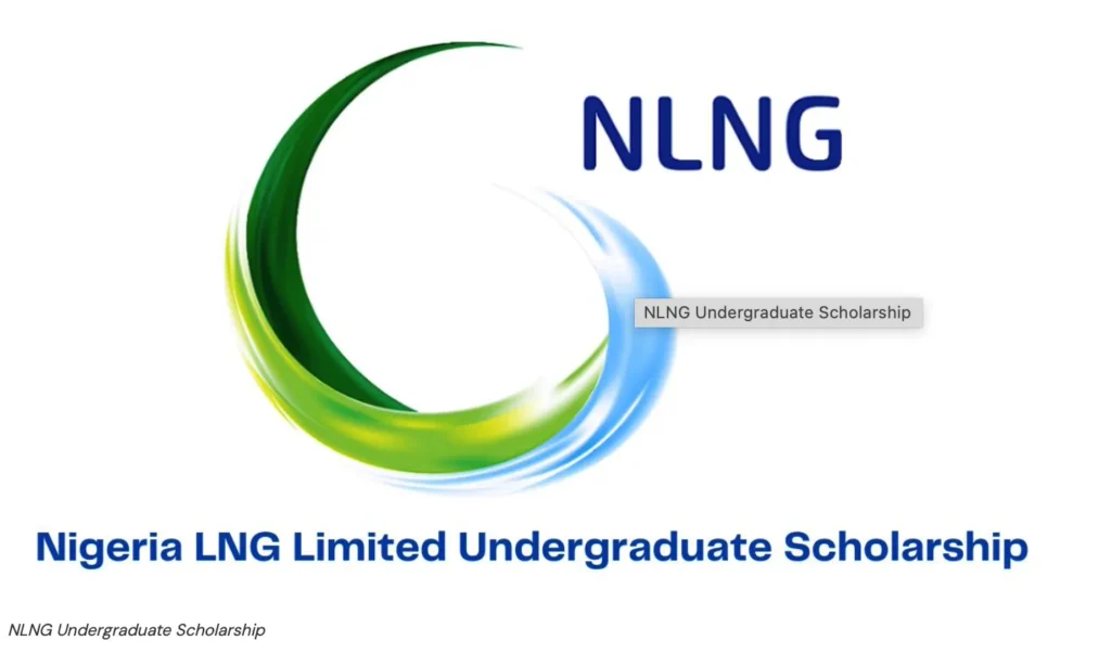 NLNG 2025 Undergraduate Scholarship