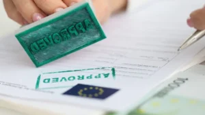 Schengen Visa Approval Rates: Top 10 Easiest Countries 2 Schengen visa approval rates