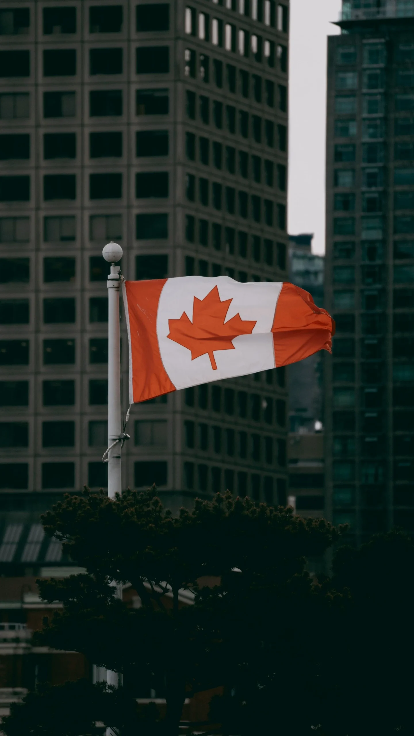 Canada Ebola Immigration Restrictions Extended to Nov 27